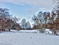 Britzer Garten 2012 Winter © Lutz Griesbach_291