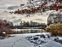 Britzer Garten 2012 Winter © Lutz Griesbach_294
