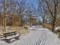 Britzer Garten 2012 Winter © Lutz Griesbach_313
