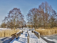 Britzer Garten 2012 Winter © Lutz Griesbach_323