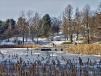 Britzer Garten 2012 Winter © Lutz Griesbach_347
