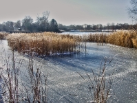Britzer Garten 2012 Winter © Lutz Griesbach_359