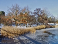 Britzer Garten 2012 Winter © Lutz Griesbach_362