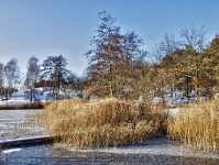 Britzer Garten 2012 Winter © Lutz Griesbach_363