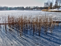 Britzer Garten 2012 Winter © Lutz Griesbach_364