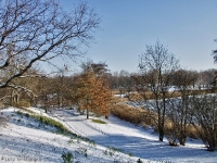 Britzer Garten 2012 Winter © Lutz Griesbach_371