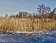 Britzer Garten 2012 Winter © Lutz Griesbach_387