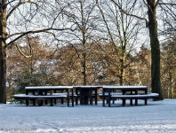 Britzer Garten 2012 Winter © Lutz Griesbach_391