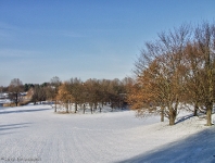 Britzer Garten 2012 Winter © Lutz Griesbach_397