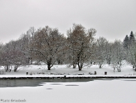 Britzer Garten 2012 Winter © Lutz Griesbach_40