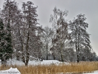 Britzer Garten 2012 Winter © Lutz Griesbach_41