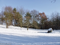 Britzer Garten 2012 Winter © Lutz Griesbach_421