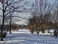 Britzer Garten 2012 Winter © Lutz Griesbach_423