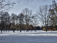Britzer Garten 2012 Winter © Lutz Griesbach_431