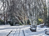 Britzer Garten 2012 Winter © Lutz Griesbach_438