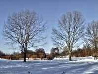 Britzer Garten 2012 Winter © Lutz Griesbach_439