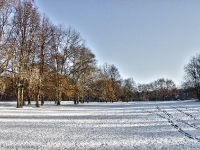 Britzer Garten 2012 Winter © Lutz Griesbach_441
