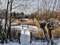 Britzer Garten 2012 Winter