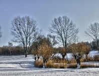 Britzer Garten 2012 Winter © Lutz Griesbach_446