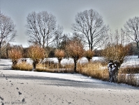 Britzer Garten 2012 Winter © Lutz Griesbach_448