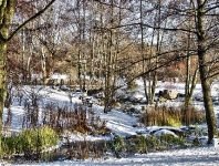 Britzer Garten 2012 Winter © Lutz Griesbach_450