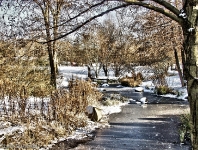 Britzer Garten 2012 Winter © Lutz Griesbach_455