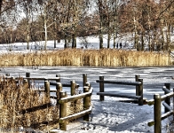 Britzer Garten 2012 Winter © Lutz Griesbach_459