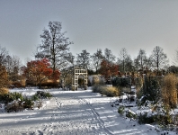 Britzer Garten 2012 Winter © Lutz Griesbach_462