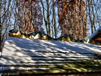 Britzer Garten 2012 Winter © Lutz Griesbach_485