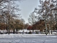 Britzer Garten 2012 Winter © Lutz Griesbach_490