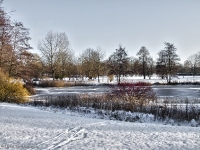 Britzer Garten 2012 Winter © Lutz Griesbach_492