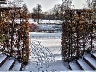 Britzer Garten 2012 Winter © Lutz Griesbach_493