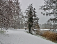 Britzer Garten 2012 Winter © Lutz Griesbach_49