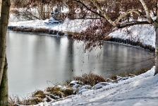 Britzer Garten 2012 Winter © Lutz Griesbach_523