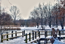 Britzer Garten 2012 Winter © Lutz Griesbach_525