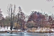 Britzer Garten 2012 Winter © Lutz Griesbach_528