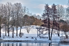 Britzer Garten 2012 Winter © Lutz Griesbach_529