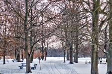 Britzer Garten 2012 Winter © Lutz Griesbach_530
