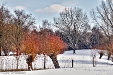 Britzer Garten 2012 Winter © Lutz Griesbach_534