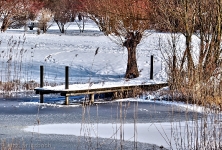 Britzer Garten 2012 Winter © Lutz Griesbach_540