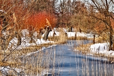 Britzer Garten 2012 Winter © Lutz Griesbach_541