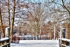 Britzer Garten 2012 Winter © Lutz Griesbach_552