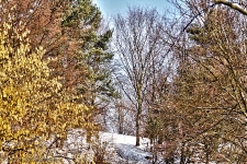 Britzer Garten 2012 Winter © Lutz Griesbach_553