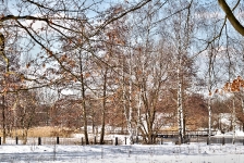 Britzer Garten 2012 Winter © Lutz Griesbach_579