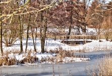 Britzer Garten 2012 Winter © Lutz Griesbach_580