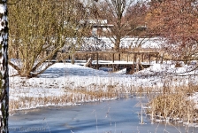 Britzer Garten 2012 Winter © Lutz Griesbach_581