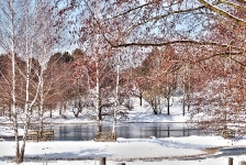 Britzer Garten 2012 Winter © Lutz Griesbach_583