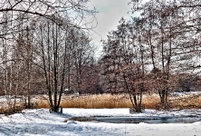 Britzer Garten 2012 Winter © Lutz Griesbach_588
