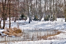 Britzer Garten 2012 Winter © Lutz Griesbach_591