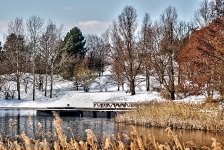 Britzer Garten 2012 Winter © Lutz Griesbach_593